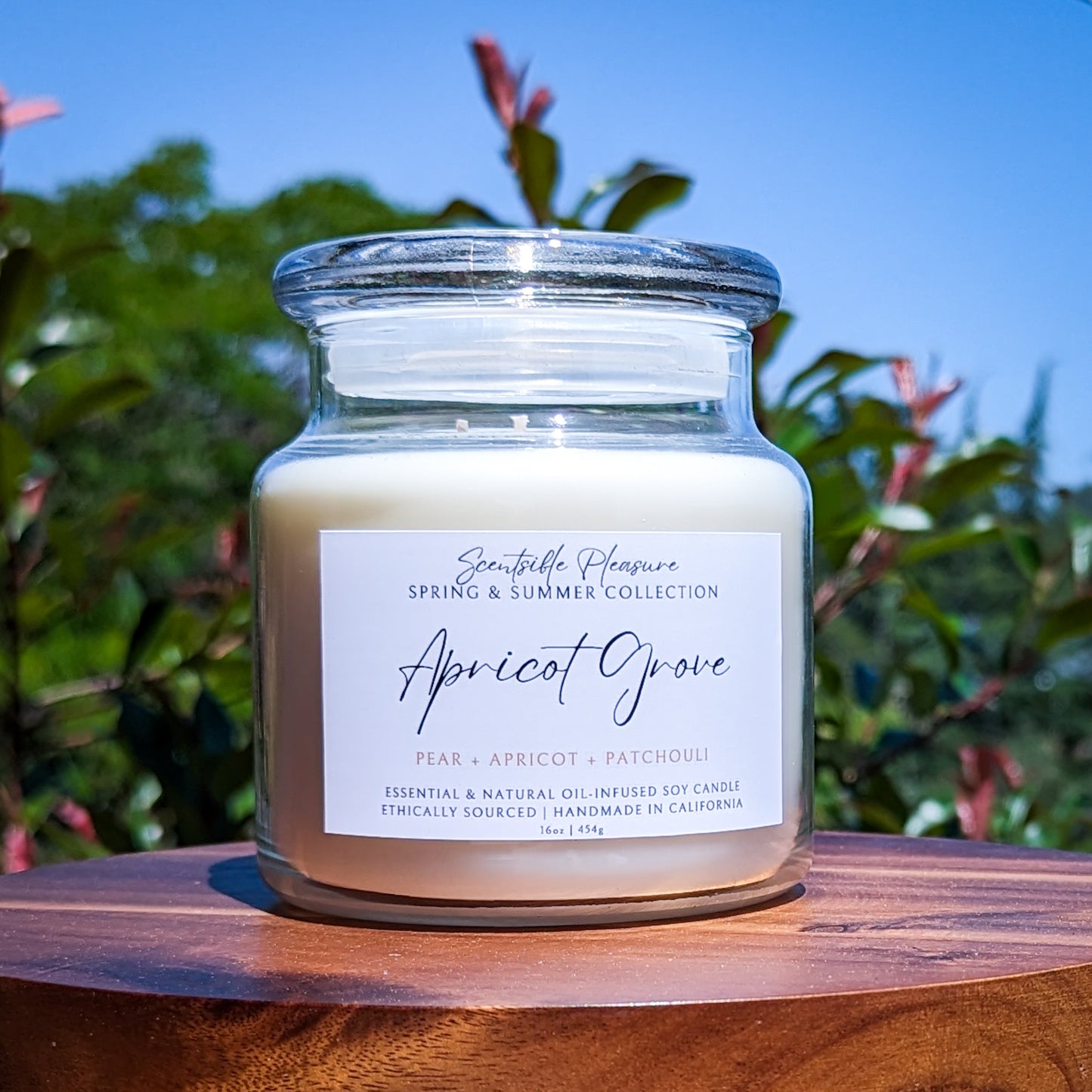 Spring and Summer Apricot Grove Scented Candle, made with soy wax, with scent notes of Pear, Apricot, and Patchouli